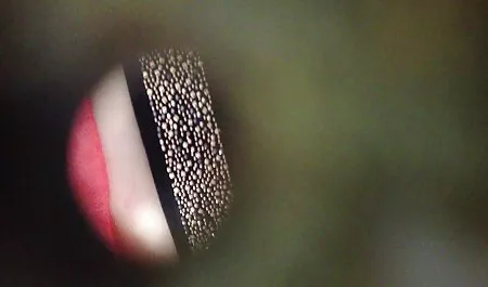 زن با شورت فیلم سکسی مادر و پسر واقعی قرمز باعث می شود بیدمشک خود را در اتاق هتل لعنتی کند
