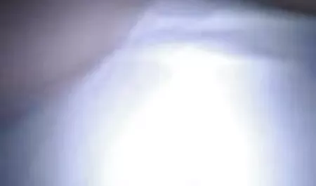 لزبین ها با عکس سکس مادر و پسر شور و شوق گربه را در رختخواب فاک می کنند