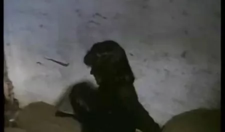 یک فیلم سکس زن شوهردار با دوست پسرش سبزه مبتذل و دوستش در یک خوابگاه با لذت بردن از یک دانش آموز دانشجویی ، در یک خوابگاه نزدیک می شوند
